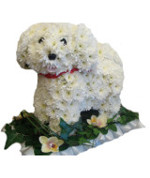 Dog funerals Flowers